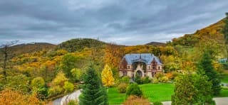 Genieten van de prachtige herfstkleuren tussen de buien door in Bonnie