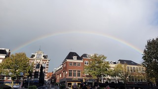 Regenboog 