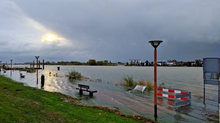 Een glimp van de zon