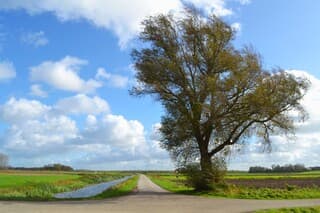Zon en stapelwolken.