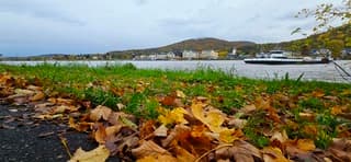 Herfst langs de Rijn in Dld