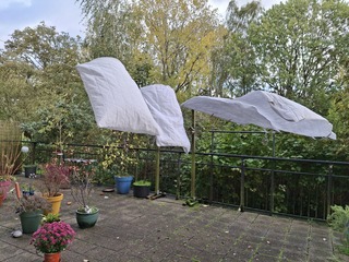 Vanmiddag af en toe zon en veel wind / even goed wasdroogweer