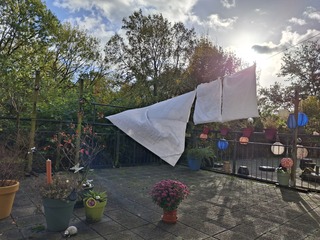 Vanmiddag af en toe zon, veel wind / tussen buitjes door, even goed wasdroogweer