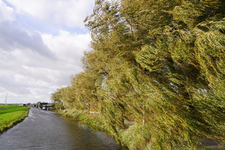 Zon, wolken en wind