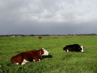 Donkere wolken