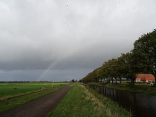 Regenboog