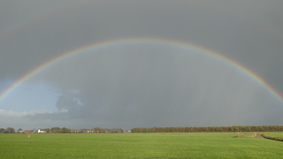 Regenboog