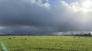 Donkere regenwolken 