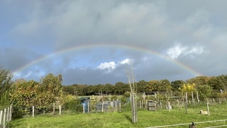 Flinke buien maar ook een mooie regenboog