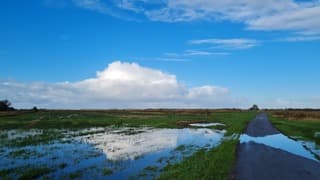 Natuur en mens met natte voeten.