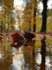 T’s nat op het pad!?