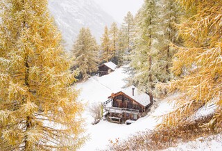 Herfstkleuren met een dik pak sneeuw 