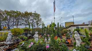 En weer droog eindelijk met wel wat wind