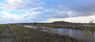 Bargerveen,  Noaberpad 