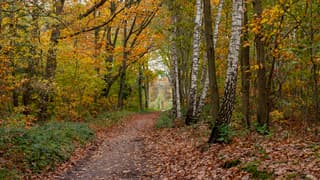 Droge middag, wel drassige paden na de regen