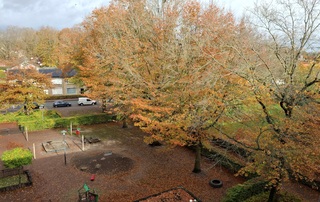 Nog even herfstkleuren in de zon