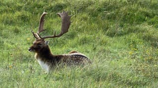 Sluiers en Mooie Opklaringen zon en regen 