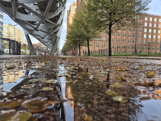Zonnig begin van een mooie herfstdag
