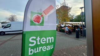 Stem 