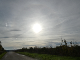 flets zonnetje/ halo