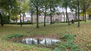 Vanochtend bewolkt, wel droog.