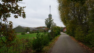 Grijs en alleen maar grijs