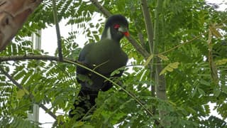 In de vlindertuin is het lekker warm 