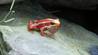 In de vlindertuin is het lekker warm 