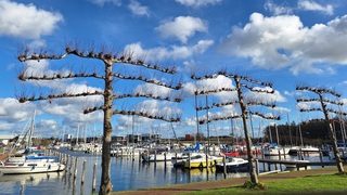 Zon en vriendelijke stapelwolken; langs het Veerse-Meer