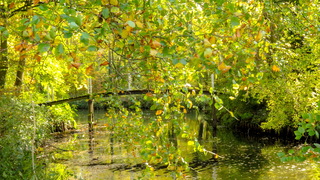 Mooie zonnige herfstdag 