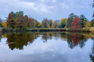 Bewolkt en rustig weerbeeld. 