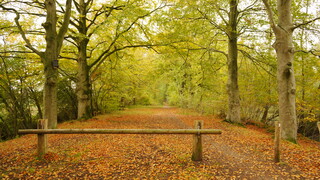 Kleur op meest grijsbewolkte dag