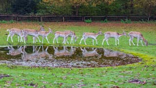 natte periode achter de rug maar vandaag droog