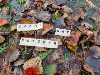 laatste  dag van oktober....