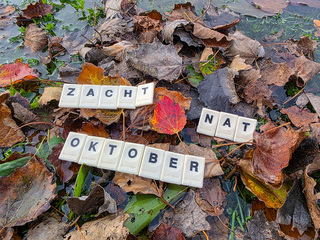 zacht en nat...was de maand oktober....