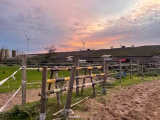 Avondkleuren boven Maasdriel