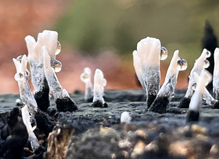 Plat op de buik,natte knieën fotoke 