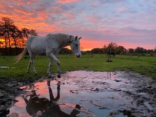 Ochtend rood, water in de sloot