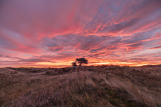 zonsopkomst ameland
