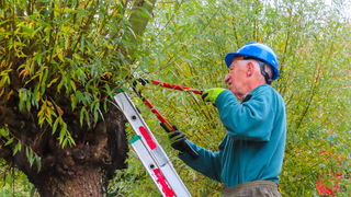 Regenachtig werkweer  Nationale natuurmonumenten