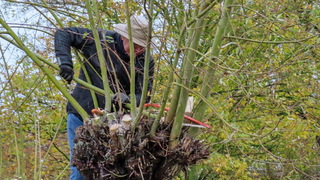 Regenachtig werkweer  Nationale natuurmonumenten