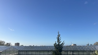 Geen wolkje aan de lucht!!!