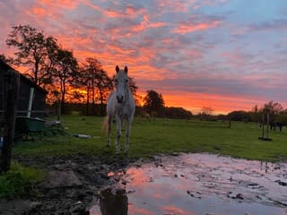 Ochtend rood water in de sloot
