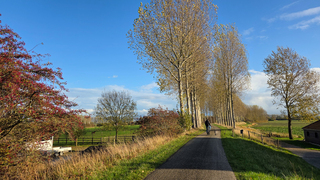 Mooi weer om de hond op dr fiets uit te laten