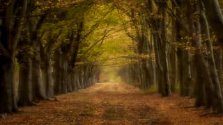 Nog geen zon te zien.