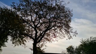 Sluierwolken en zon!