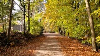 Herfstkleuren in Drenthe 