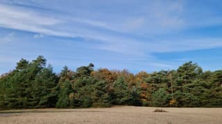 Sluierwolken boven Drenthe 
