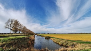 Zon, sluierbewolking en wind