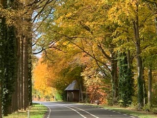 Mooi met een beetje zon